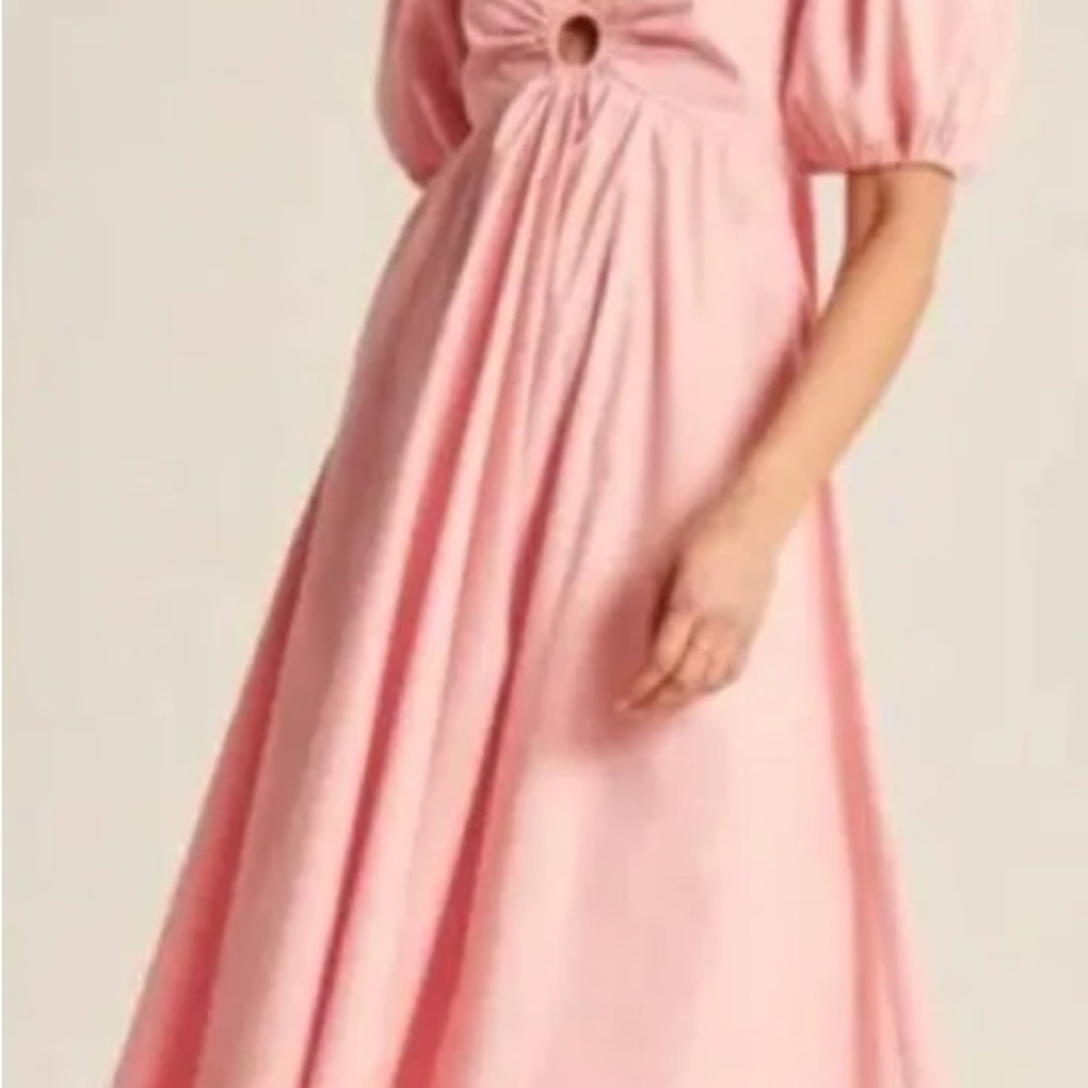 Abercrombie & Fitch O-ring puff sleeve Pink Dress with Cutout XL backless spring